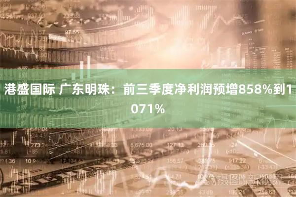 港盛国际 广东明珠：前三季度净利润预增858%到1071%