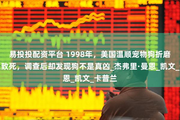 易投投配资平台 1998年，美国温顺宠物狗折磨女主人致死，调查后却发现狗不是真凶_杰弗里·曼恩_凯文_卡普兰