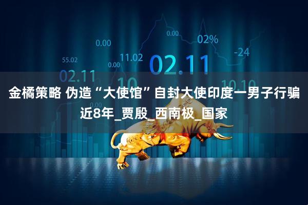 金橘策略 伪造“大使馆”自封大使印度一男子行骗近8年_贾殷_西南极_国家