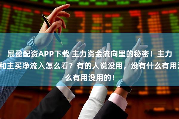冠盈配资APP下载 主力资金流向里的秘密！主力净流入和主买净流入怎么看？有的人说没用，没有什么有用没用的！