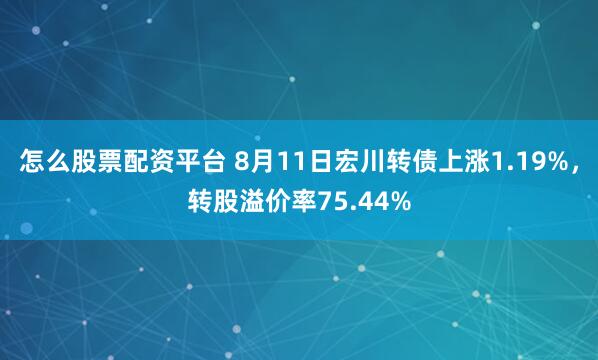 怎么股票配资平台 8月11日宏川转债上涨1.19%，转股溢价率75.44%